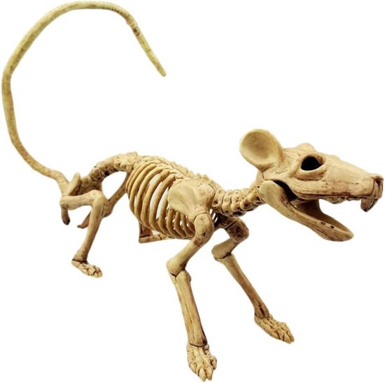 Hangende horror decoratie skelet 50 cm bruidegom | Fun en Feest
