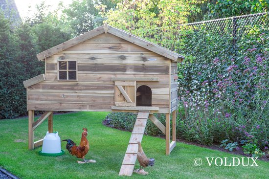 Wood Selections Clapier à lapin Jasper XL - Clapier extérieur à lapin - Enclos à lapin - Cage à lapin - Cage de nuit pour lapin - Niche à lapin - Dierenverblijf - Lapins