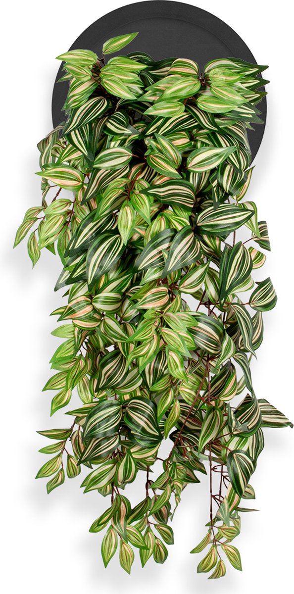 HTT Decorations Kunstplant Tradescantia in Wally Ø30 cm zwart - HTT Decorations kunstplanten