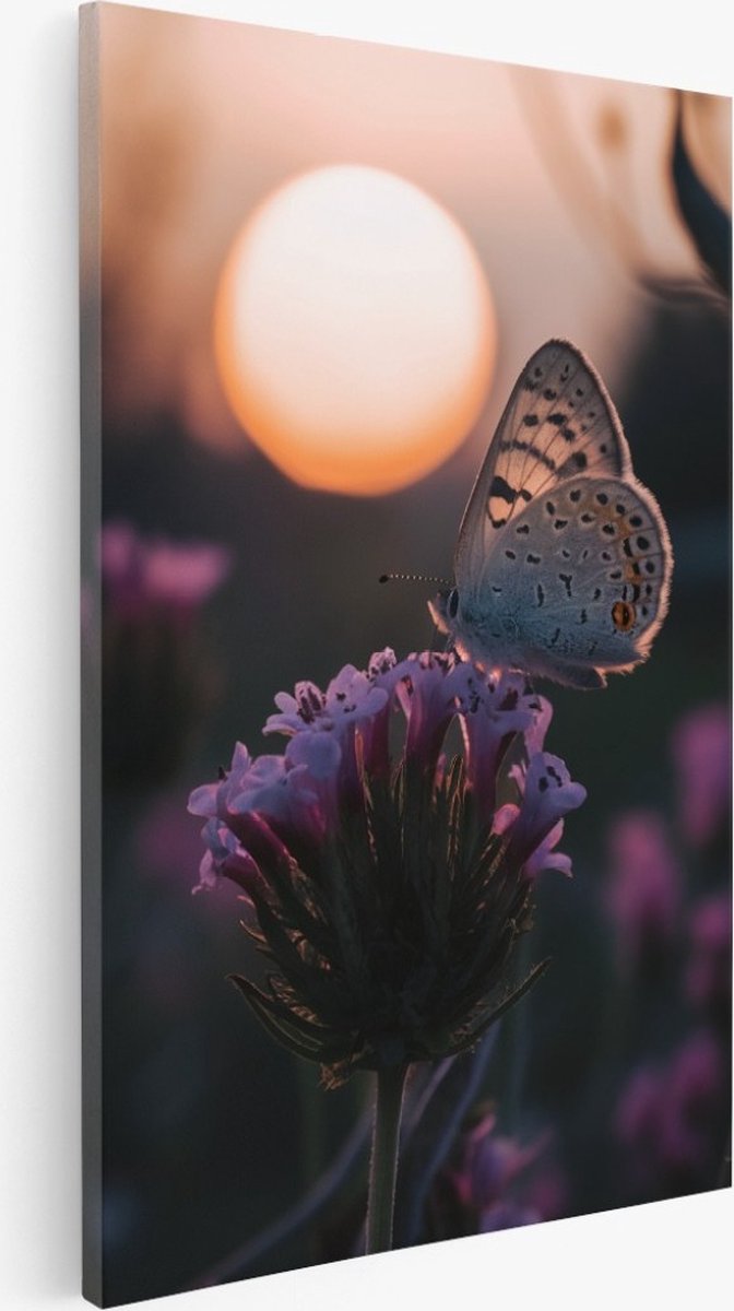 Saammp Canvas Schilderij - Vlinder op roze bloem - Dier - 60x90 - Foto op canvas - Wanddecoratie - Muurdecoratie Woonkamer - Kantoor Decoratie Multicolor