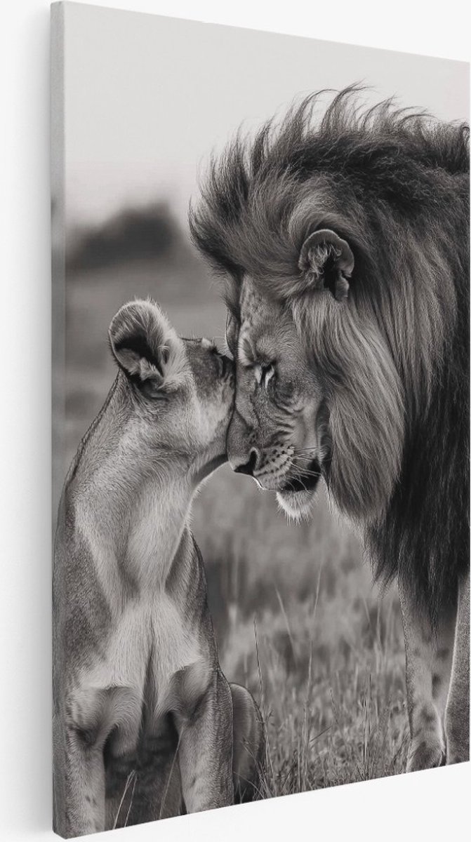 Saammp Canvas Schilderij - Leeuw en leeuwin liefdevol - Natuur - Dieren - 40x60 - Foto op canvas - Wanddecoratie - Muurdecoratie Woonkamer - Slaapkamer decoratie - Canvas Print Multicolor