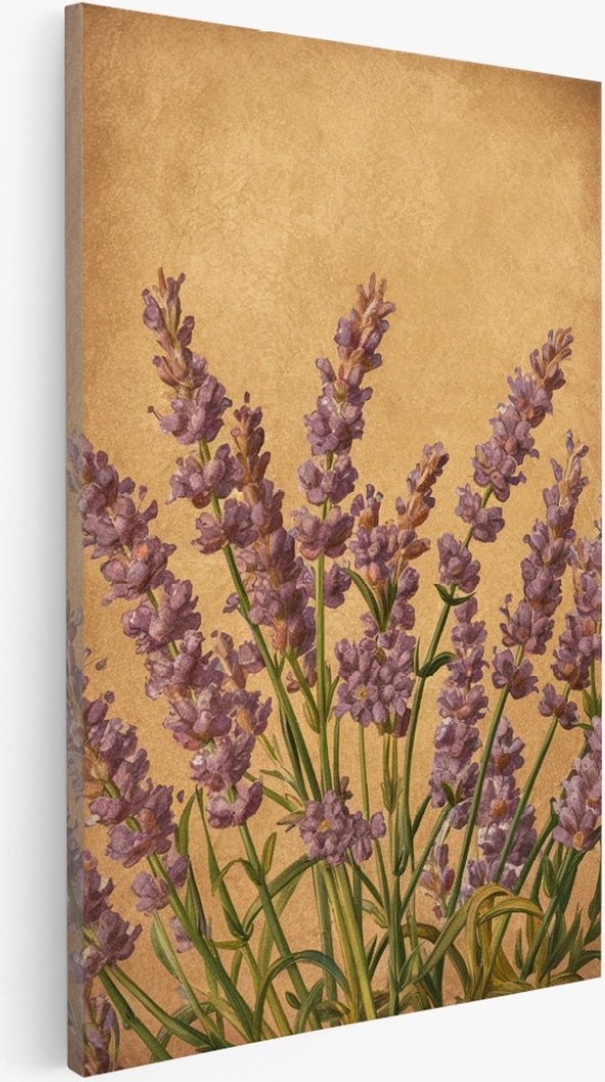 Saammp Canvas Schilderij - Vintage Lavendel - Natuur - Bloemen - 50x70 - Foto op canvas - Wanddecoratie - Muurdecoratie Woonkamer - Kantoor Decoratie Multicolor