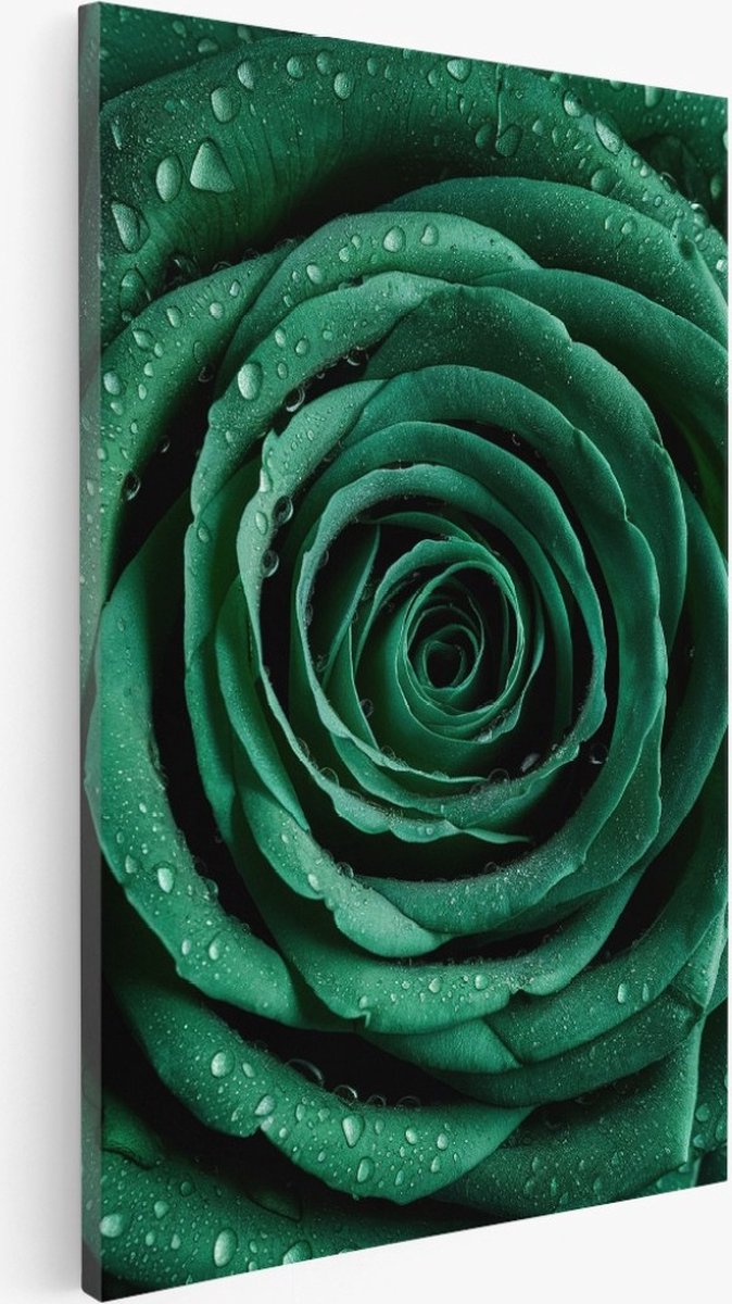 Saammp Canvas Schilderij - bloemen - Groene Roos - 40x50 - Foto op canvas - Wanddecoratie - Muurdecoratie Woonkamer - Kantoor Decoratie Multicolor