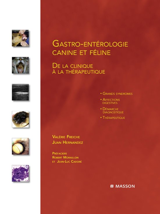 Gastro-Ent�Rologie Canine Et F�Line - cover