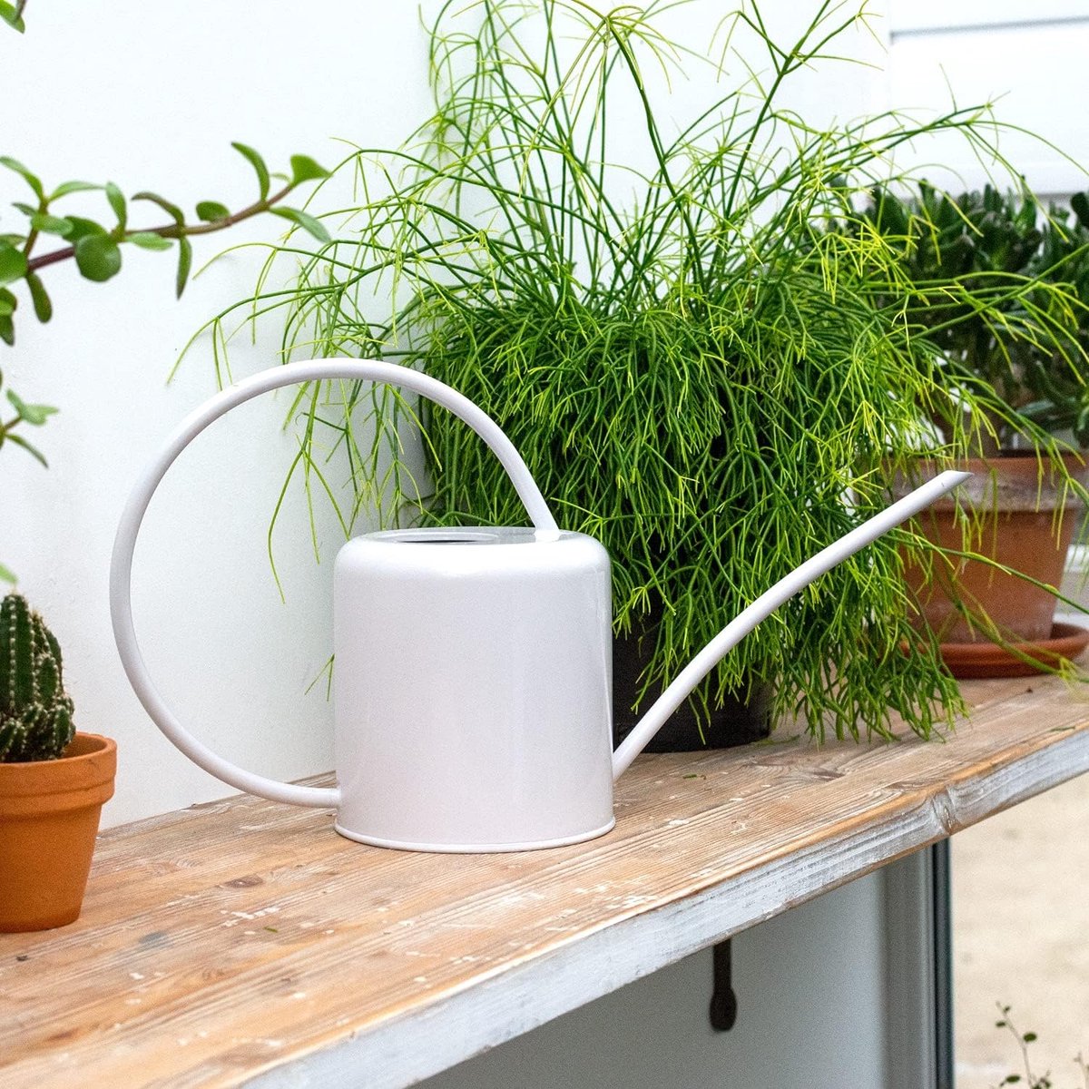 1,4 L Indoor Gieter - Stijlvol Gekleurd Gegalvaniseerd Staal voor Kamerplanten