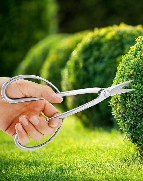 VANZACK 24 Stuks bonsai-trimmer kleine naaischaar bonsai schaar VANZACK 24 Stuks bonsai-trimmer kleine naaischaar bonsai schaar