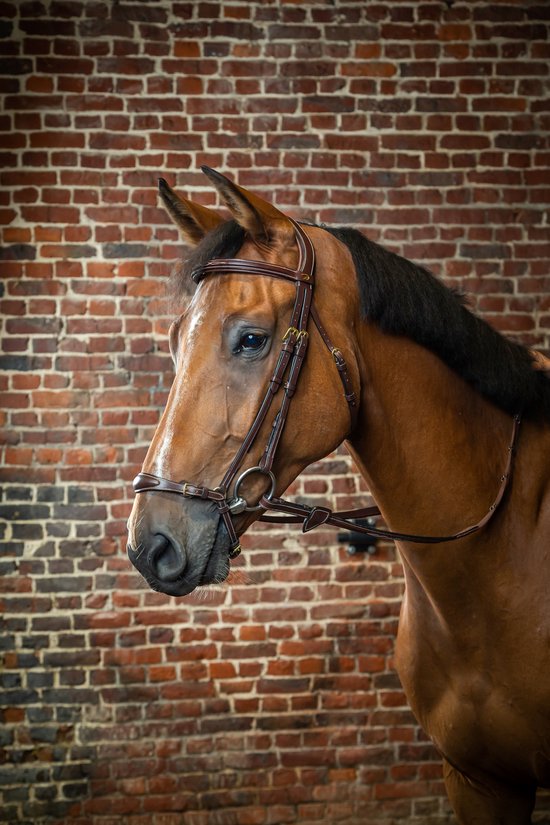 Shetland & Pony Reins - De Kroo Equestrian