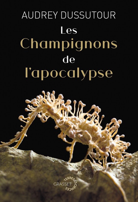 Les champignons de l'apocalypse - cover