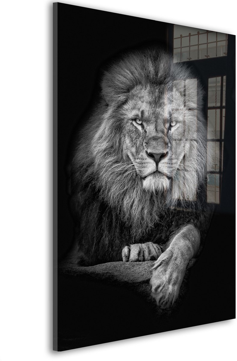 Glasschilderij Koning der schaduwen - 30 x 20 cm - Leeuw - Dierenhoofden, Fotografie - Acrylaat - Inclusief wandbevestiging - Foto op plexiglas - Wanddecoratie woonkamer