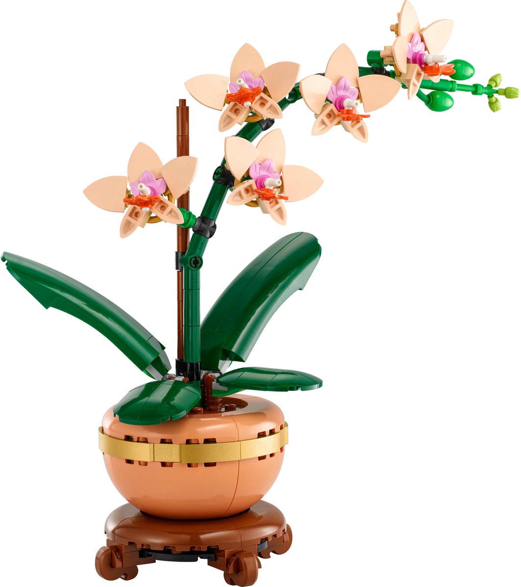 LEGO Botanicals Mini orchidee - 10343 — afbeelding 12