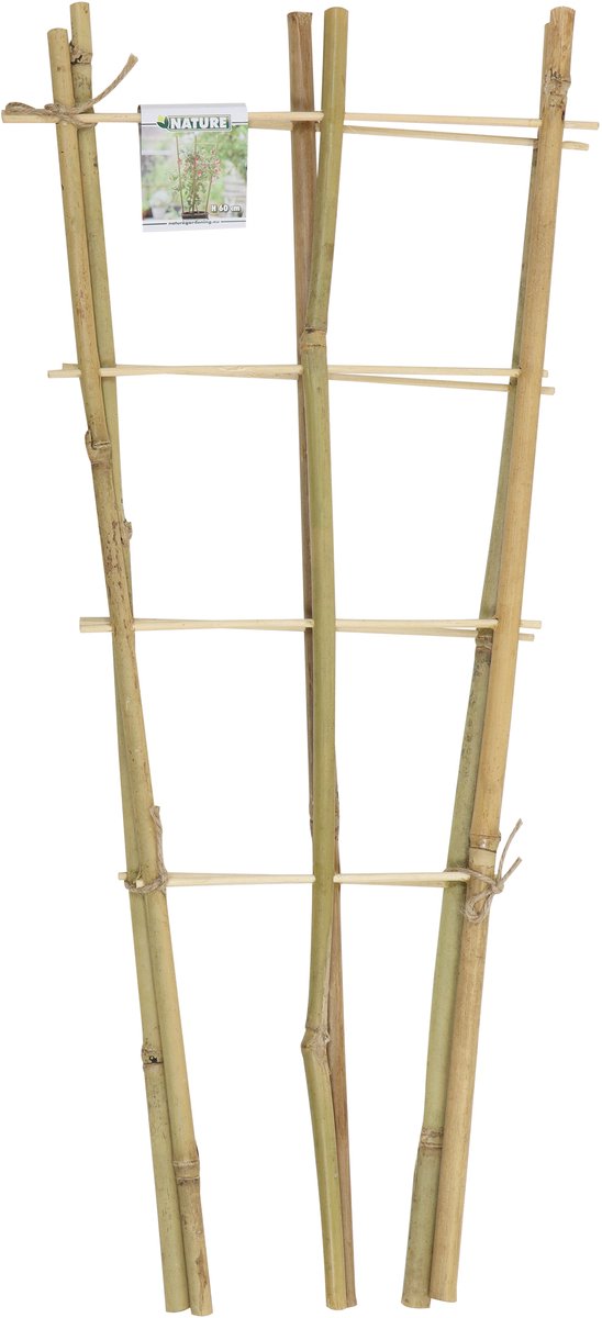 Driesprong collection - Bamboeplantrekje h60b24 cm s2st