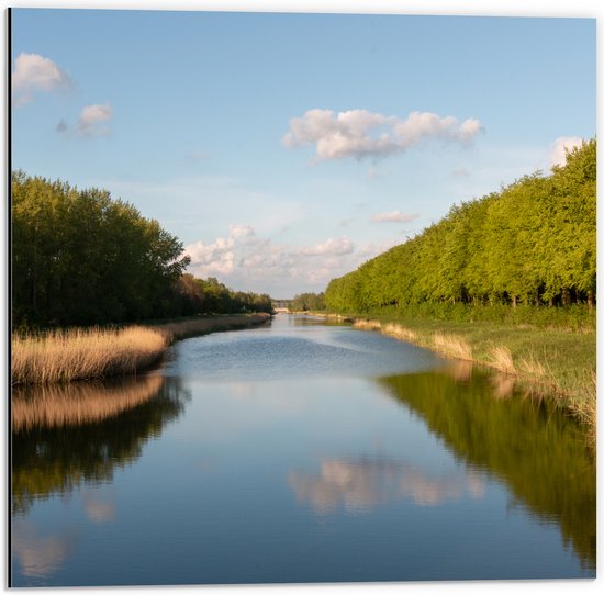 Dibond - Smalle Rivier stromend door Nederlandse Bossen - 50x50 cm Foto op Aluminium (Met Ophangsysteem)