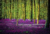 Fotobehang Flowers Forest Nature | XXL - 206cm x 275cm | 130g/m2 Vlies