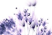 Fotobehang Floral Pattern | XXL - 312cm x 219cm | 130g/m2 Vlies