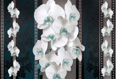 Papier peint Fleurs Motif Floral Orchidées | XL - 208 cm x 146 cm | Polaire 130g / m2