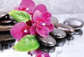 Fotobehang Pink Orchids Stones Zen | XL - 208cm x 146cm | 130g/m2 Vlies