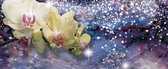 Fotobehang Sparkle Flowers Orchids | PANORAMIC - 250cm x 104cm | 130g/m2 Vlies