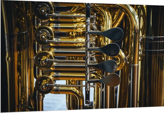 Dibond - Knoppen van Gouden Trompet - 150x100 cm Foto op Aluminium (Met Ophangsysteem)