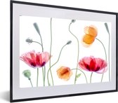 Posters nature - Fleurs - Coquelicot - Wit - Affiche avec cadre - Affiche murale - Décoration murale - 60x40 cm
