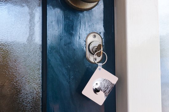 Porte-clés - Perroquet - Grijs - Animaux - Nature - Cadeaux - Plastique