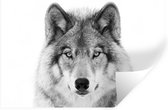 Muurstickers - Sticker Folie - Wolf - Dieren - Portret - Wit - 60x40 cm - Plakfolie - Muurstickers Kinderkamer - Zelfklevend Behang - Zelfklevend behangpapier - Stickerfolie
