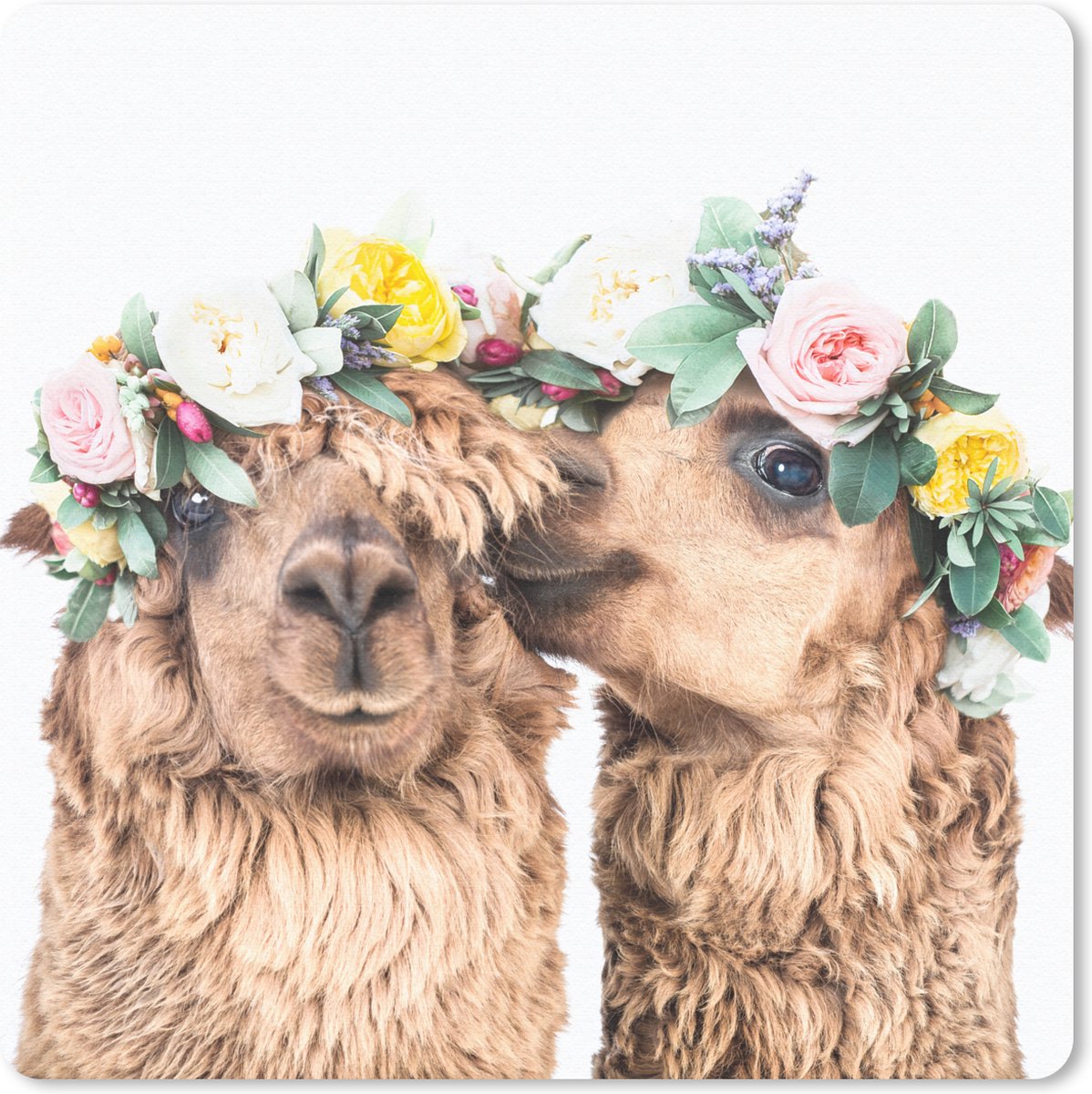 Muismat 20x20 cm - Mousepad Alpaca - Bloemen - Dieren - Natuur - Muismatten