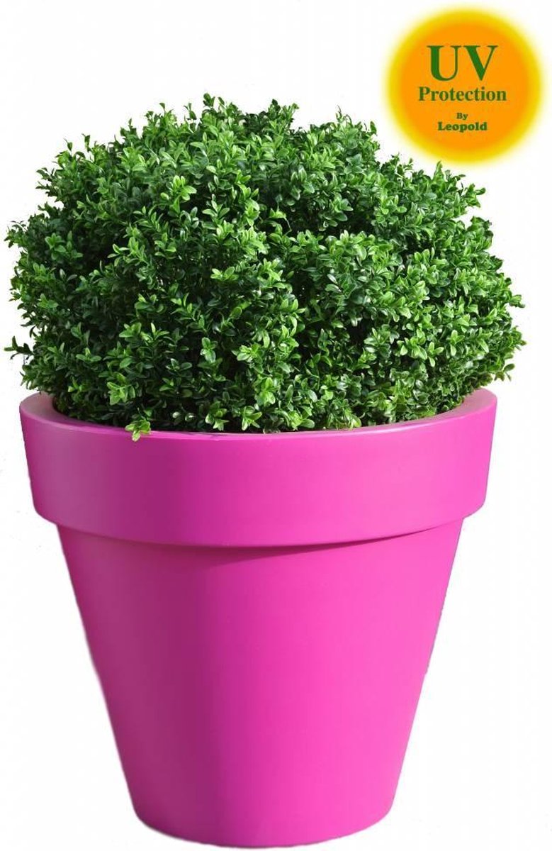 UV-Kunst-Buxus-Bol-60-cm