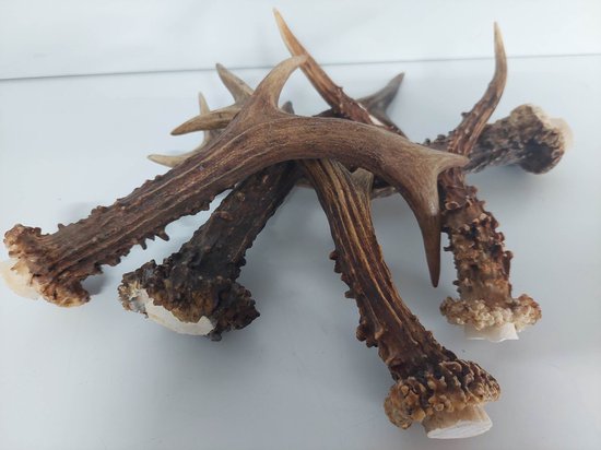 DierOKÉ 5x hertengewei - S kauwsnack voor de hond - 100% natuurlijk - +/-80 gram - gewei - hondensnacks