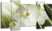 GroepArt - Schilderij - Orchidee - Groen, Wit - 120x65 5Luik - Foto Op Canvas - GroepArt 6000+ Schilderijen 0p Canvas Art Collectie - Wanddecoratie