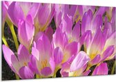 Peinture sur toile Fleur | Violet, blanc, jaune | 120x70cm 1Hatch