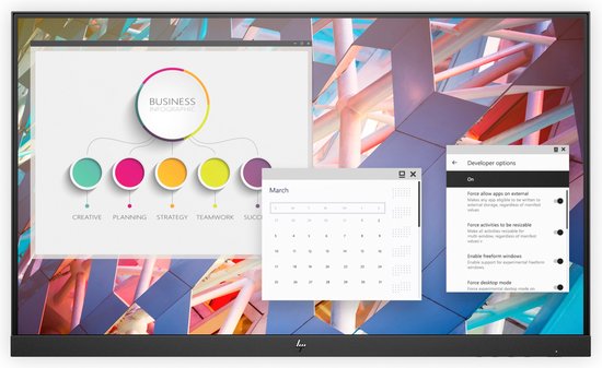 HP E24 G4 60,5 cm (23.8") 1920 x 1080 Pixels Full HD Zwart, Zilver ZONDER STANDAARD