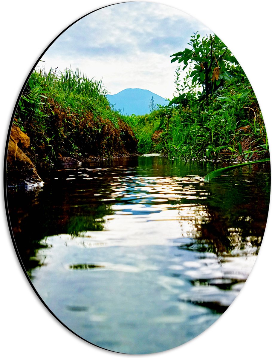 Dibond Ovaal - Sloot in het Groene Weiland onder Sluierbewolking - 30x40 cm Foto op Ovaal (Met Ophangsysteem)