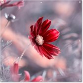 Tuindoek Bloemen - Rood - Natuur - Planten - 100x100 cm