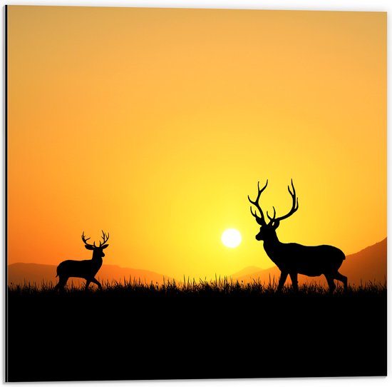 Dibond - Silhouet van Herten rennend door het Weiland bij Zonsondergang - 50x50 cm Foto op Aluminium (Met Ophangsysteem)