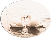 Dibond Ovaal - Duo Zwanen als Symbool van de Liefde - 96x72 cm Foto op Ovaal (Met Ophangsysteem)