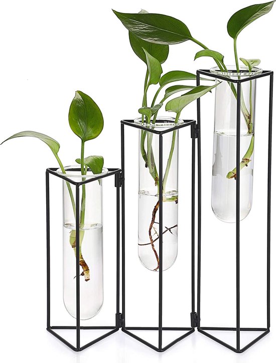 2x vase à fleur de tube à essai de table vintage avec support pour plante  avec vase 