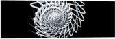 Acrylglas - Wit Slakvormig Object tegen Zwarte Achtergrond - 90x30 cm Foto op Acrylglas (Met Ophangsysteem)