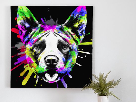 Rainbow canine burst | Rainbow Canine Burst | Kunst - 40x40 centimeter op Canvas | Foto op Canvas
