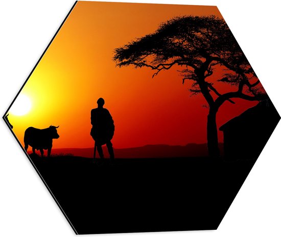 Dibond Hexagon - Silhouet van Boer met zijn Koeien bij Huis - 50x43.5 cm Foto op Hexagon (Met Ophangsysteem)