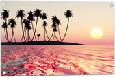 Tuinposter – Silhouet van Palmbomen op Onbewoond Eiland in de Oceaan bij Zonsondergang - 75x50 cm Foto op Tuinposter (wanddecoratie voor buiten en binnen)