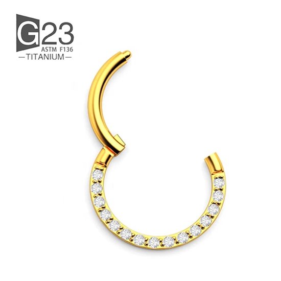 titanium Ring Piercing - Verpakt in fluwelen organza zakje - Diameter 8mm - Dikte 1.2mm - Ringetje geschikt voor Helix, Tragus, Septum, Lip, Neus & wenkbrauw piercing- goudkleurig