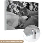 MuchoWow® Glasschilderij 60x40 cm - Schilderij acrylglas - Twee knuffelende Burmese katten - zwart wit - Foto op glas - Schilderijen