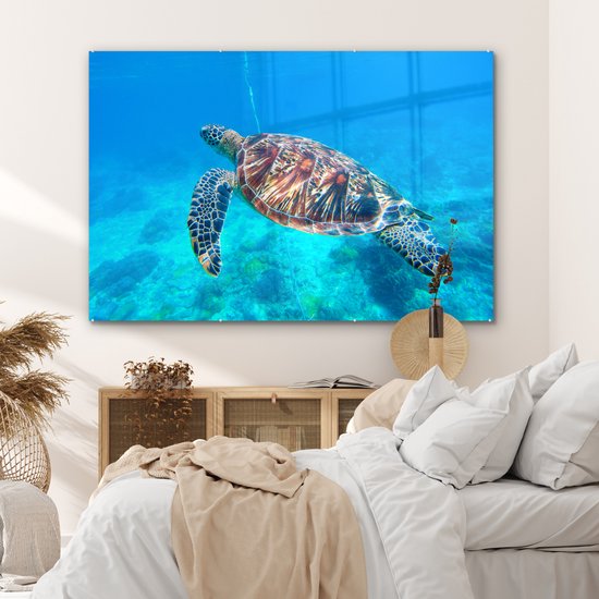 MuchoWow® Peinture sur Verre - Tortue - Mer - Blauw - 180x120 cm - Peintures sur Verre Acrylique - Photo sur Glas