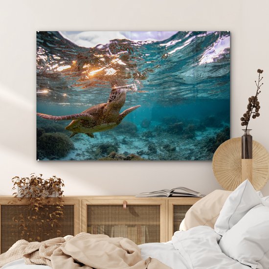 Peintures sur verre - Mer - Tortue - Couleurs - 120x80 cm - Peintures Plexiglas
