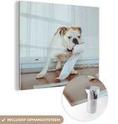 MuchoWow® Glasschilderij 50x50 cm - Schilderij acrylglas - Hond spelend met wc-papier - Foto op glas - Schilderijen