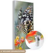 MuchoWow® Glasschilderij 60x120 cm - Schilderij acrylglas - Pages vlinder op bloem - Foto op glas - Schilderijen