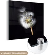 MuchoWow® Glasschilderij 50x50 cm - Schilderij acrylglas - Een stuifbloem op een zwarte achtergrond - Foto op glas - Schilderijen