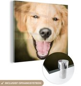 MuchoWow® Glasschilderij 90x90 cm - Schilderij acrylglas - Glinstering in de ogen van deze Labrador Retriever - Foto op glas - Schilderijen