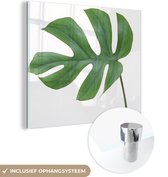 MuchoWow® Glasschilderij 90x90 cm - Schilderij acrylglas - Botanisch blad op een witte achtergrond - Foto op glas - Schilderijen