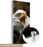 MuchoWow® Peinture sur verre 40x80 cm - Peinture sur verre acrylique - Un pygargue à tête blanche hurlant - Photo sur verre - Peintures